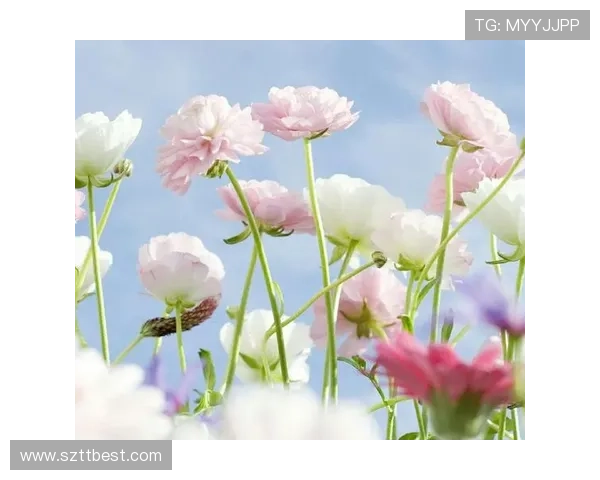 《唐禹哲·我在你身边》：不只是一首歌，更是一场温暖的陪伴