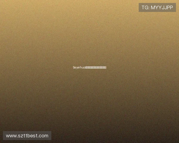 Seyehuo:点燃智慧之火,照亮未来之路